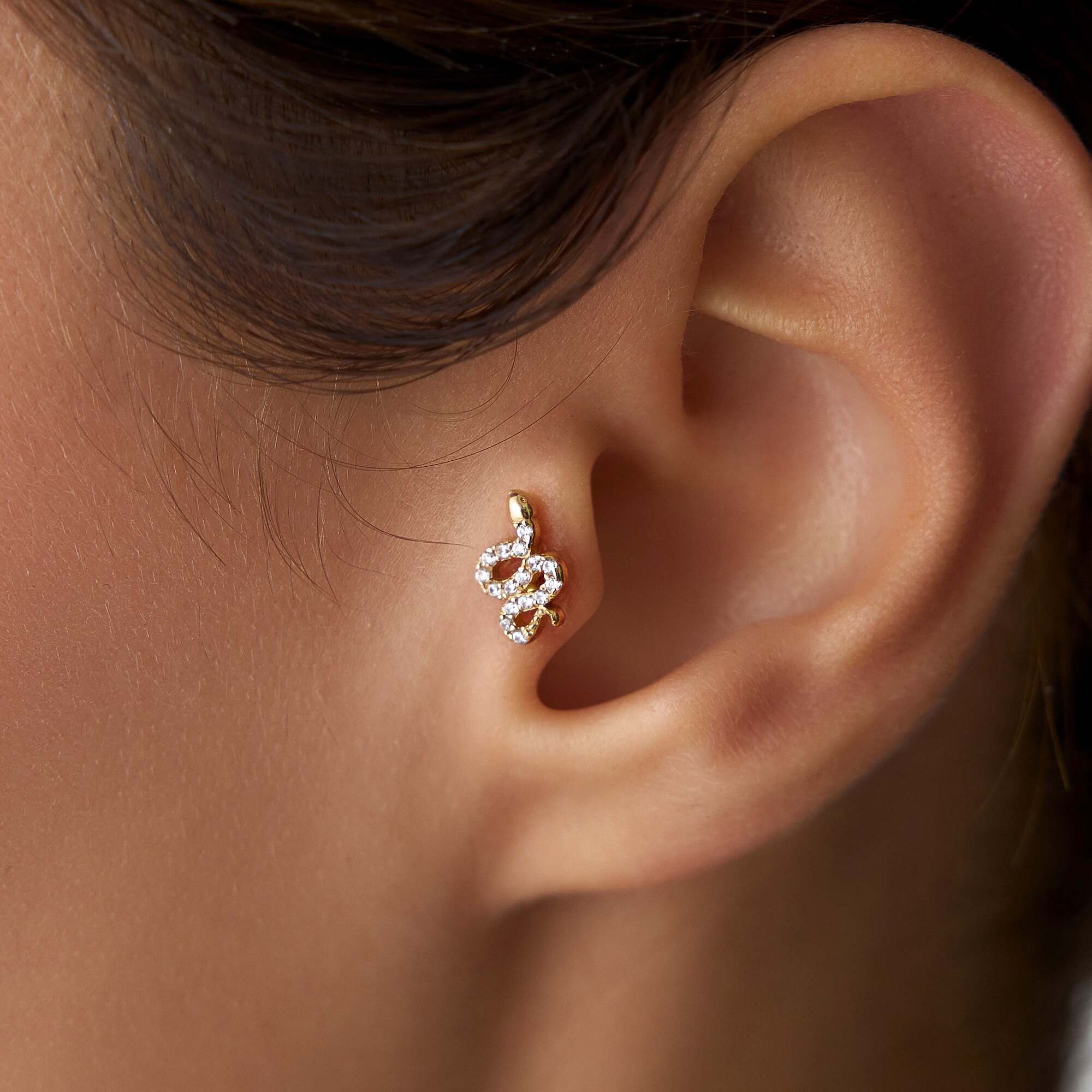 Yılan Tragus Küpe
