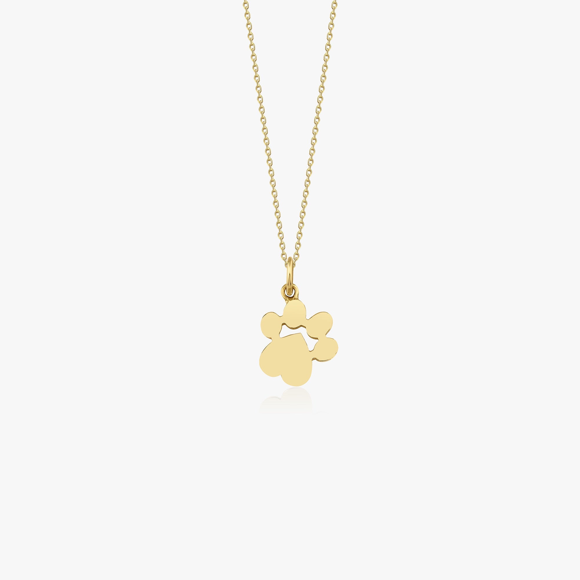 Pati Kolye / Golden Paw