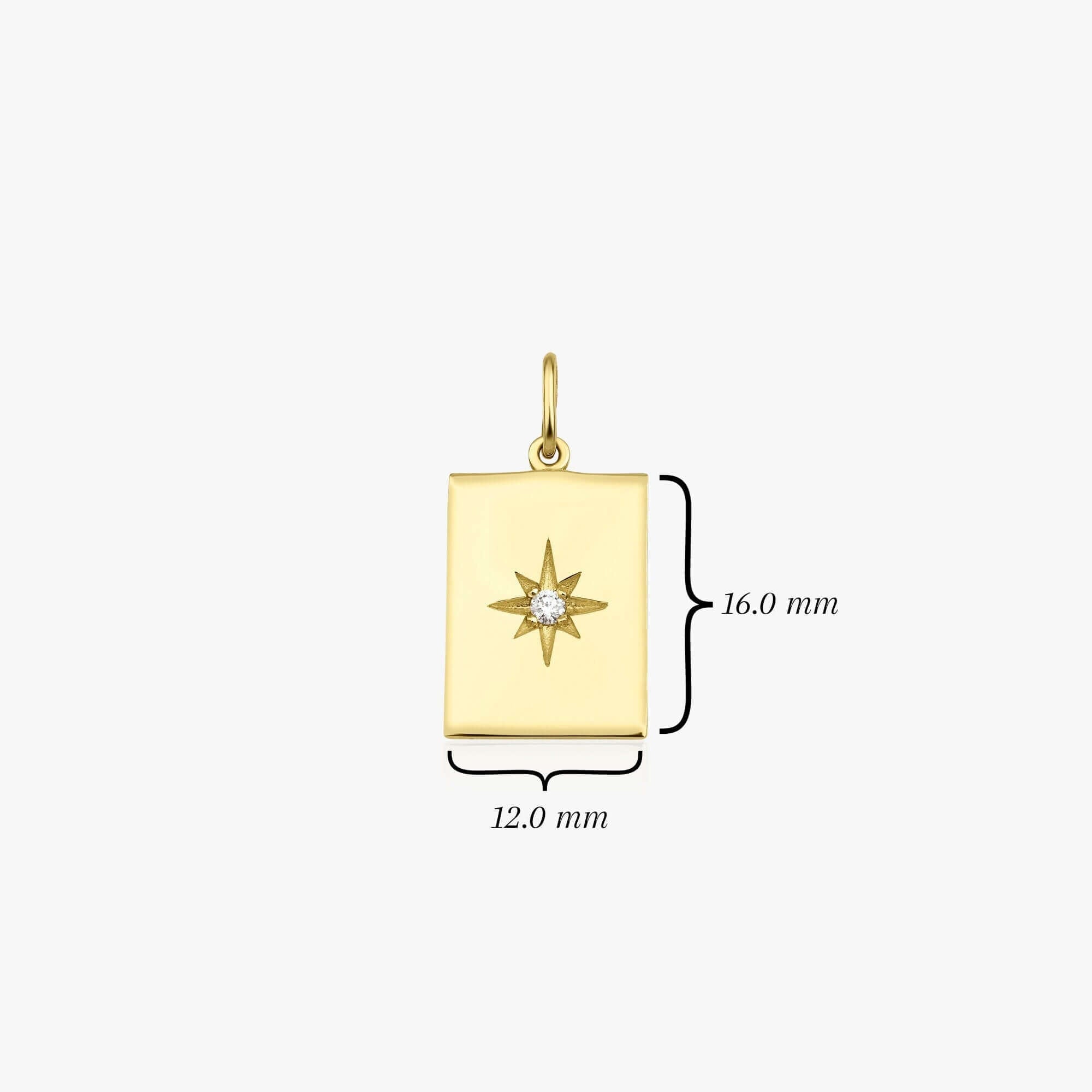 Dikdörtgen Kuzey Yıldızı Kolye Ucu / The Diamond North Star Charm